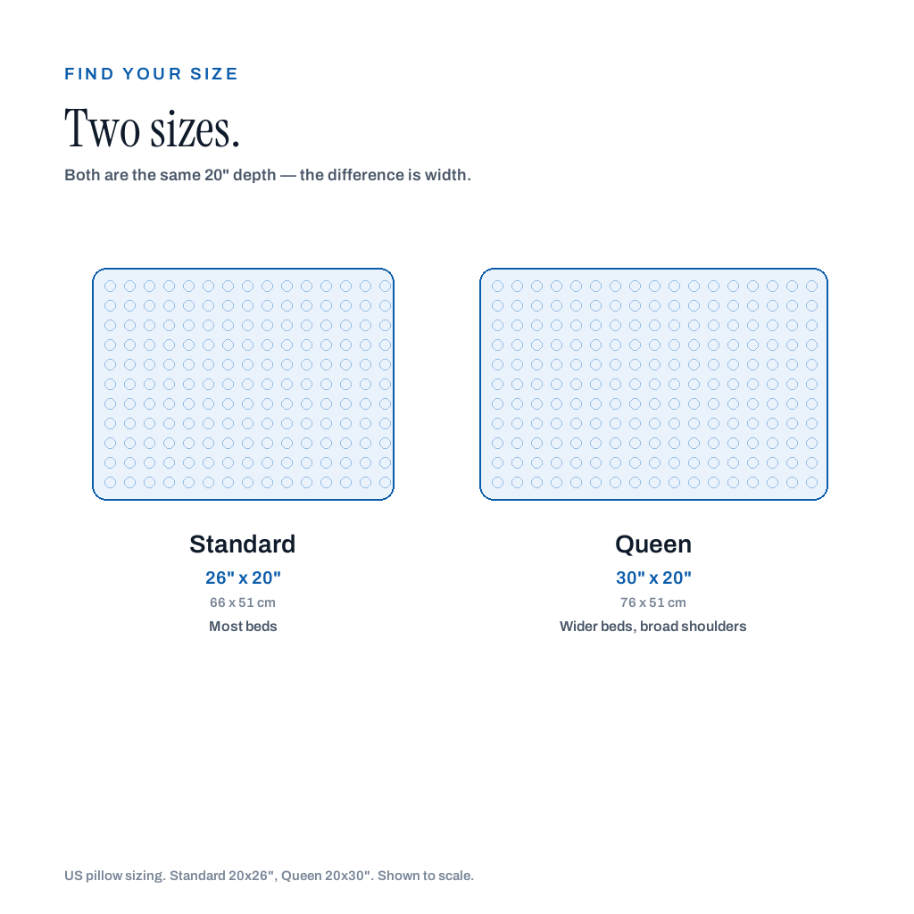 Size chart: Standard 26 by 20 inches and Queen 30 by 20 inches, shown to scale