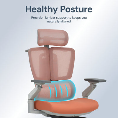 Apex | Elite Mesh Office Chair