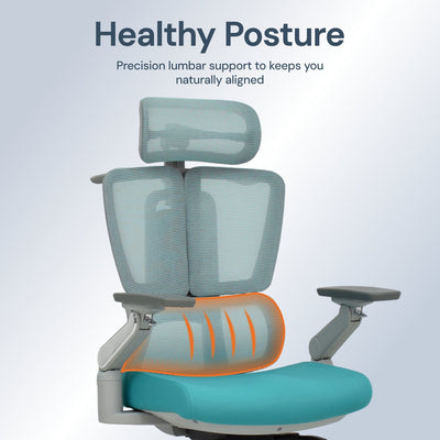 Apex | Elite Mesh Office Chair