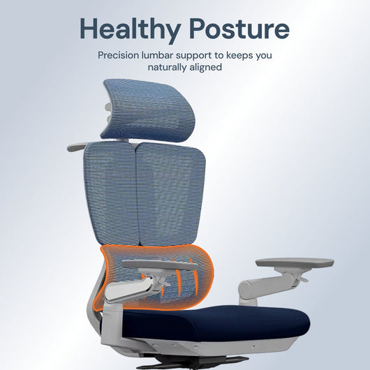 Apex | Elite Mesh Office Chair