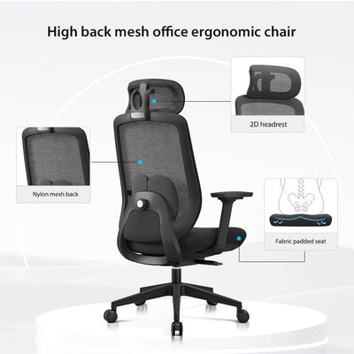 Aera | Adaptive Mesh Office Chair