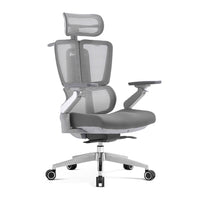 Apex | Elite Mesh Office Chair