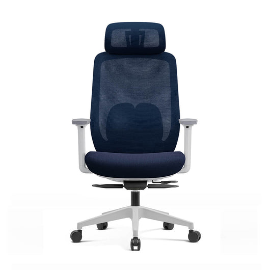 Aera | Adaptive Mesh Office Chair