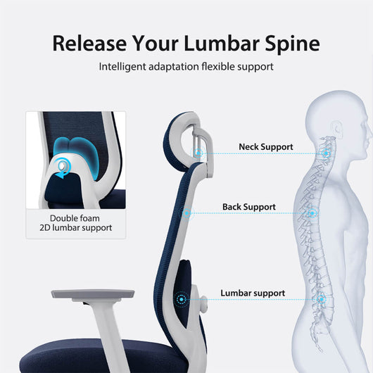 Aera | Adaptive Mesh Office Chair