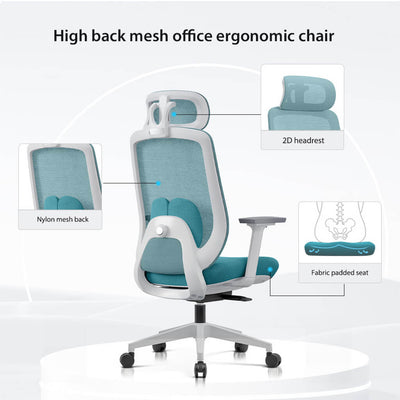 Aera | Adaptive Mesh Office Chair