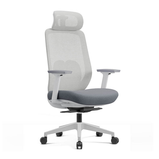 Aera | Adaptive Mesh Office Chair