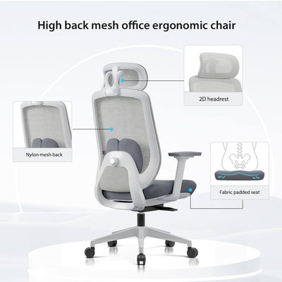 Aera | Adaptive Mesh Office Chair