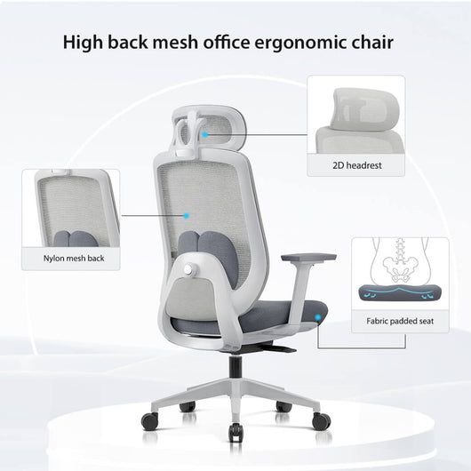 Aera | Adaptive Mesh Office Chair