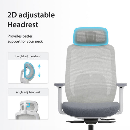 Aera | Adaptive Mesh Office Chair